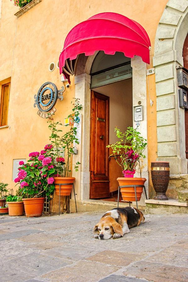 Montepulciano Stazione Meuble Evoe Bed & Breakfast エクステリア 写真